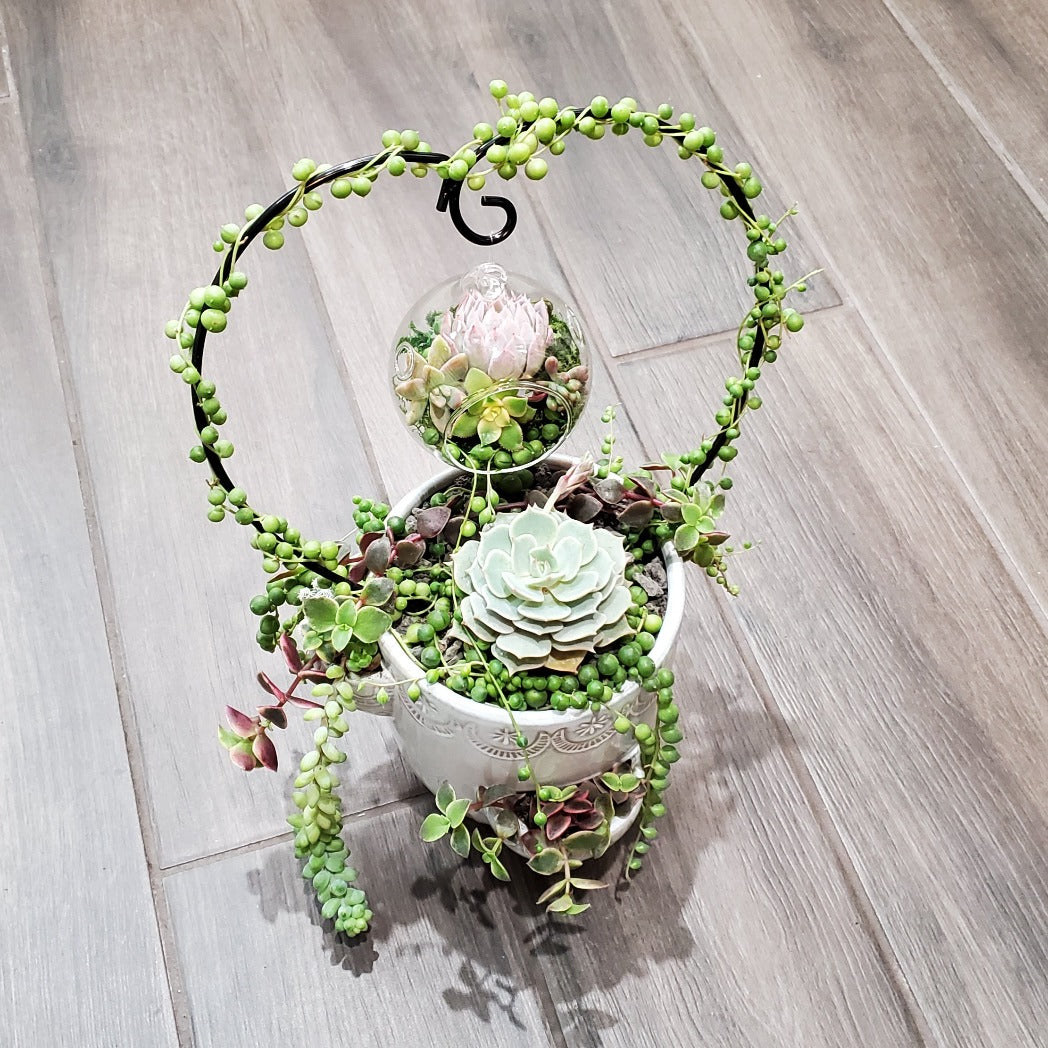 Hanging Terrarium Heart Trellis Arrangement Kit